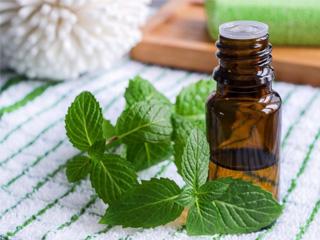 Польза эфирного масла мяты для кожи лица
