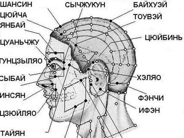 Где у человека лоб. Точечный массаж схема головы. Акупунктурные точки головы схема.